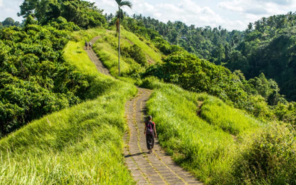 Campuhan Ridge Walk – Ubud’s Scenic Escape