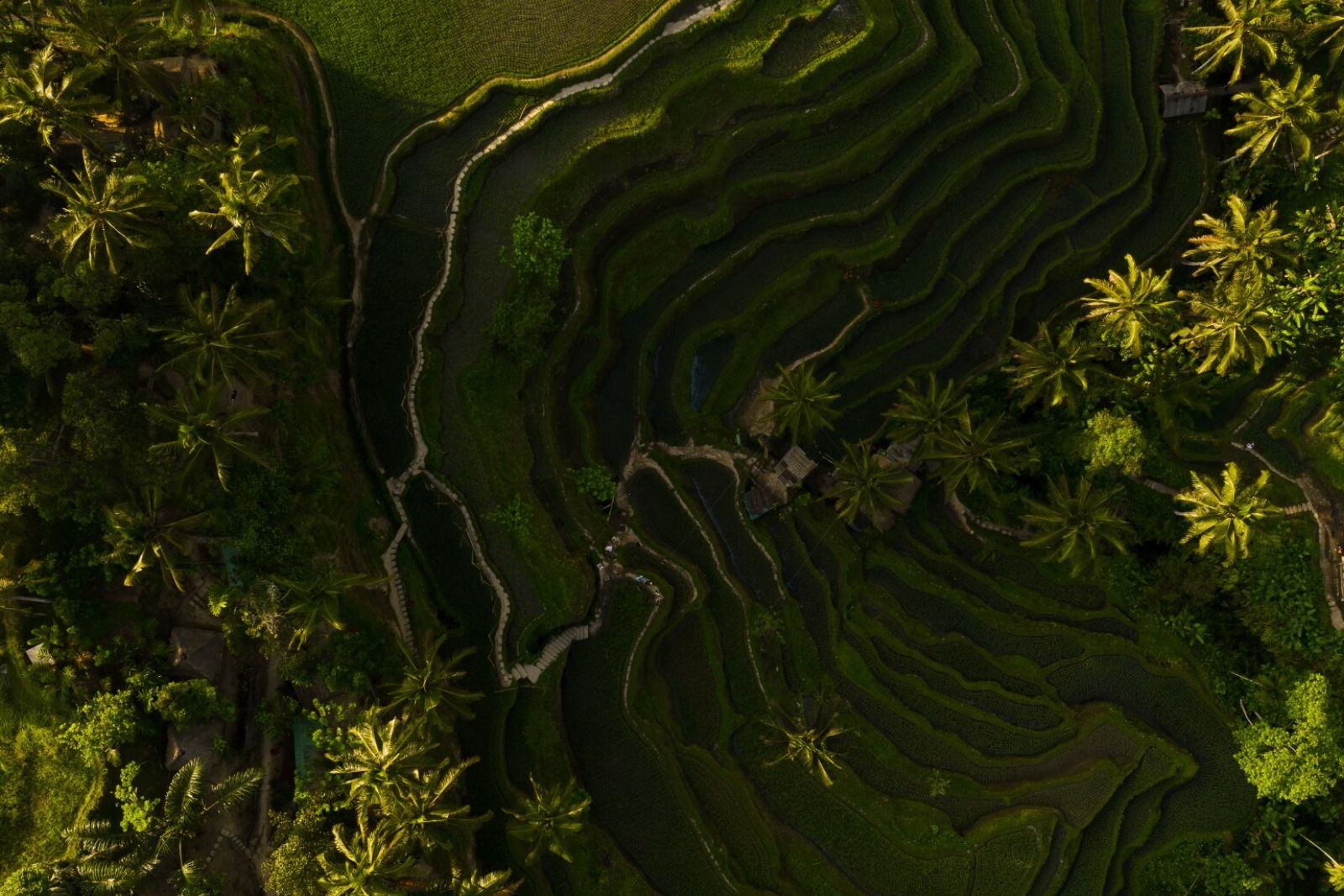 Trekking sanggraloka