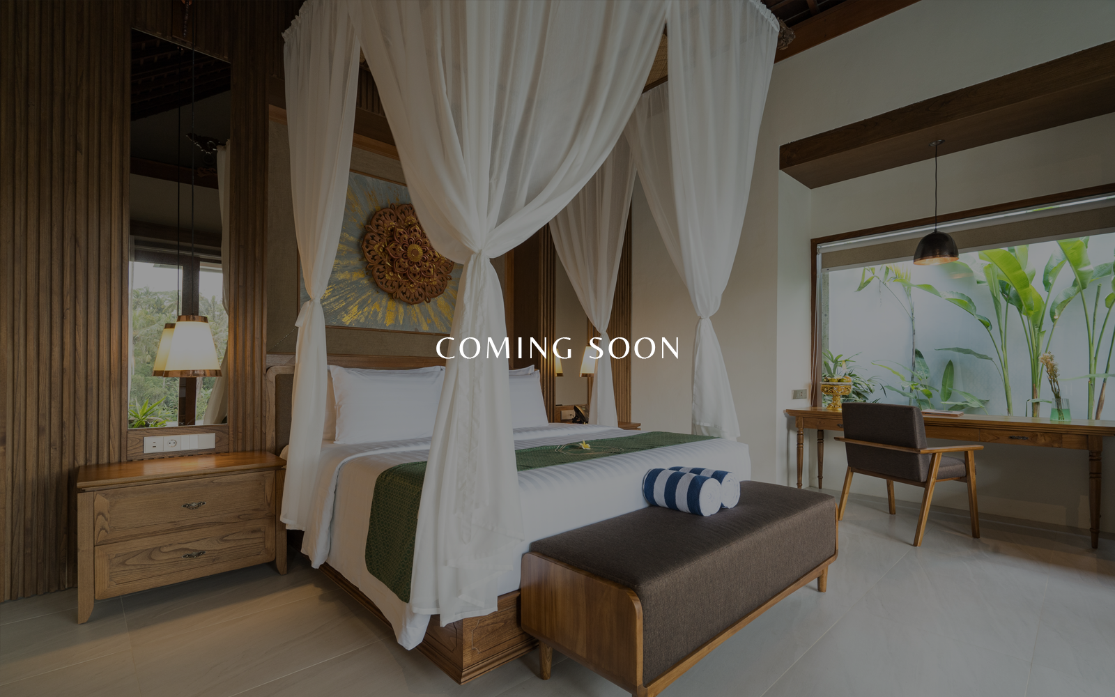 Detail Deluxe Suite5