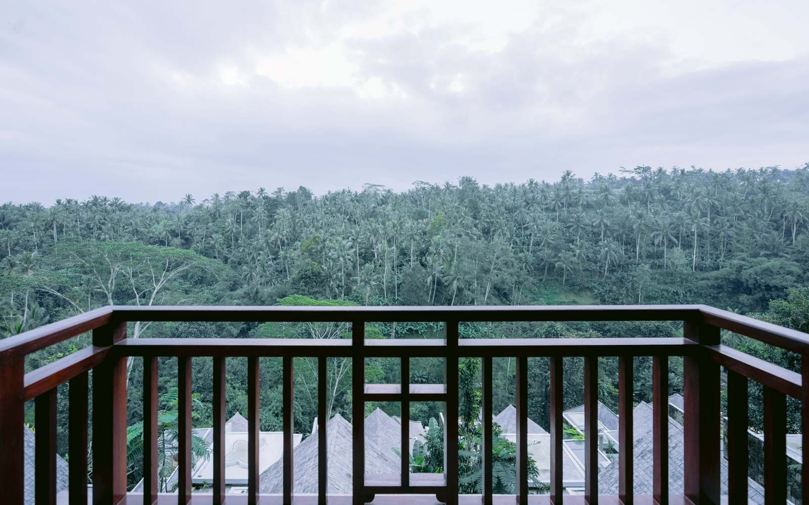 Detail Premiere Suite Home