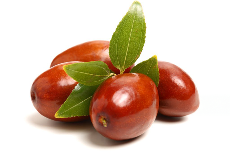 News~48~2025 10 28~Jujube Fruit