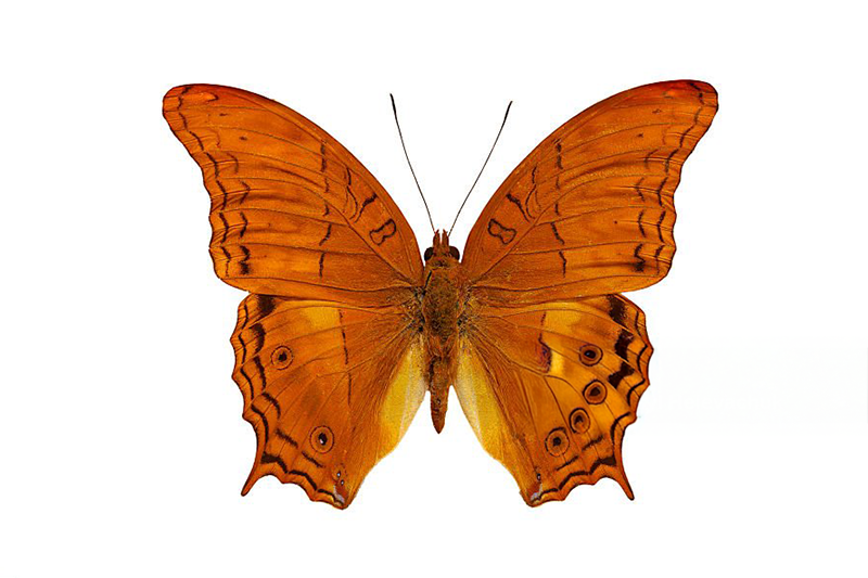 News~77~2025 10 28~Vendula Dejone