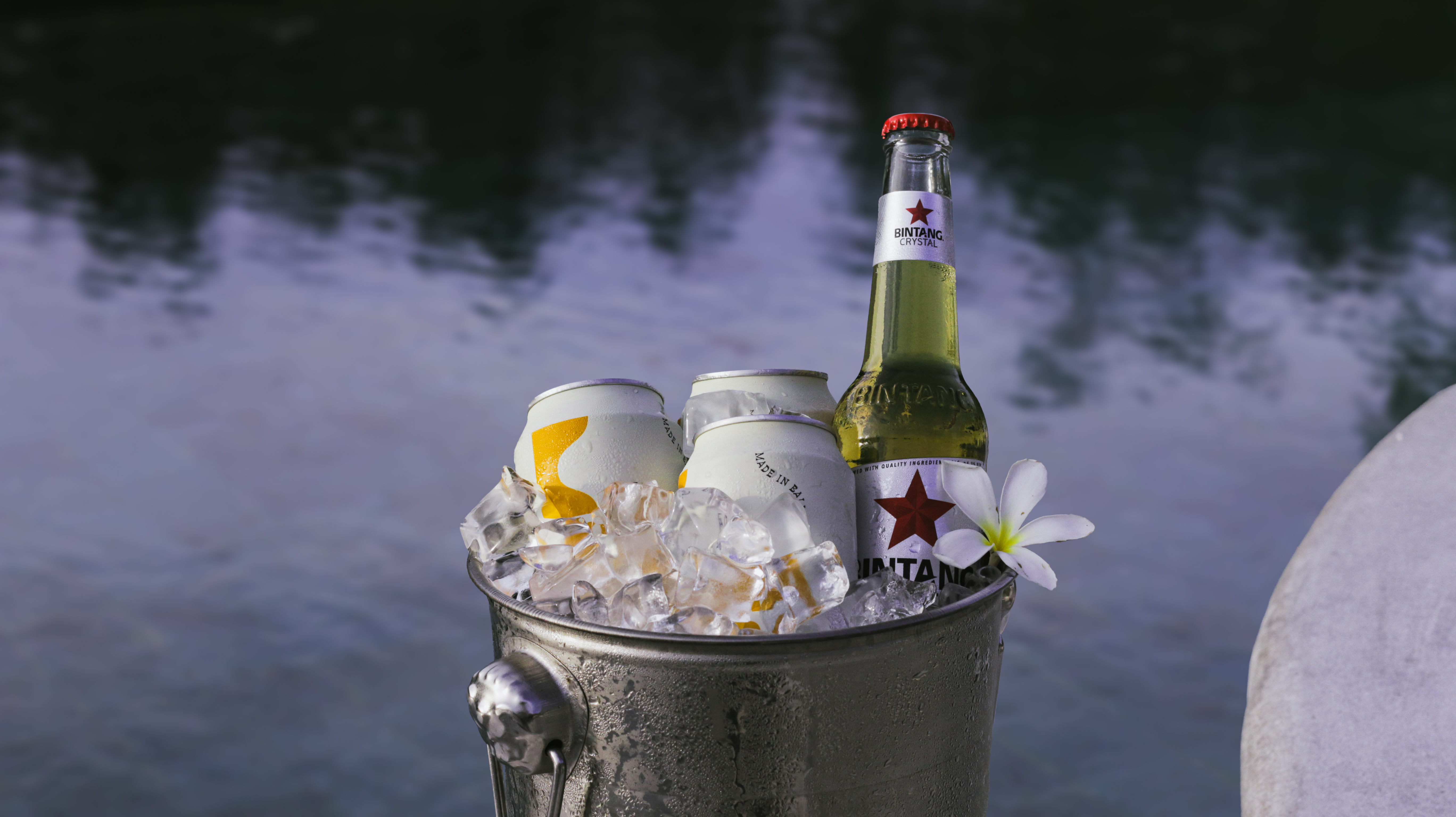 Promo~12~2026 03 24~IMG 0694